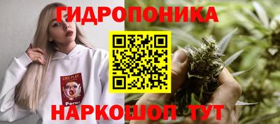 дживик Краснодар